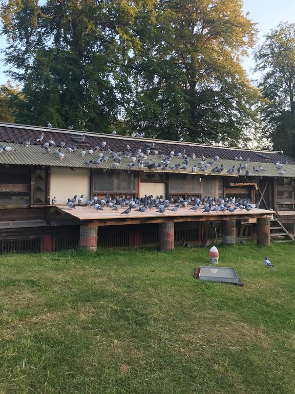 Hotel-Restaurant Johanniskreuz Trippstadt Exteriör bild